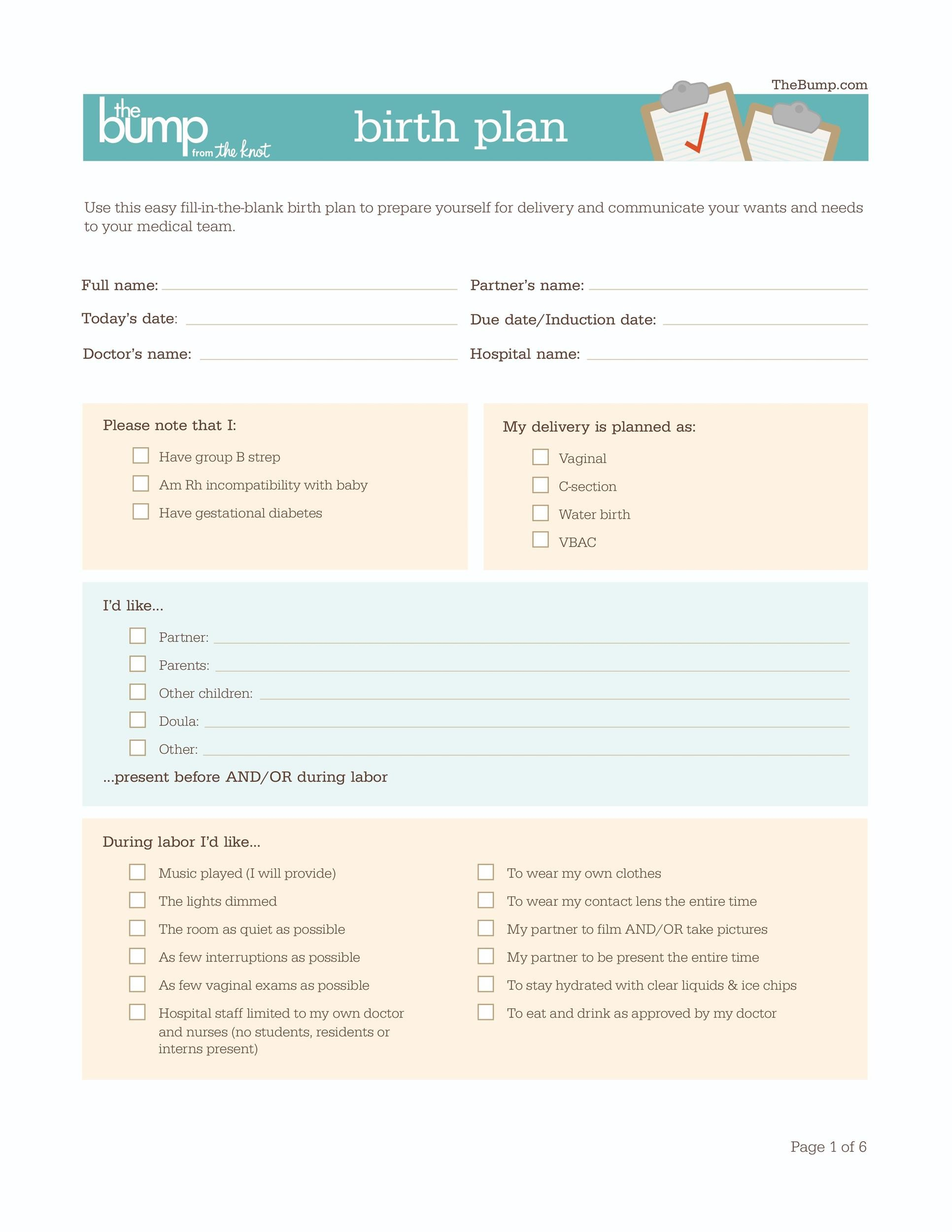 47+ Printable Birth Plan Templates [Birth Plan Checklist] ᐅ intended for Birth Plan Template Free Printable