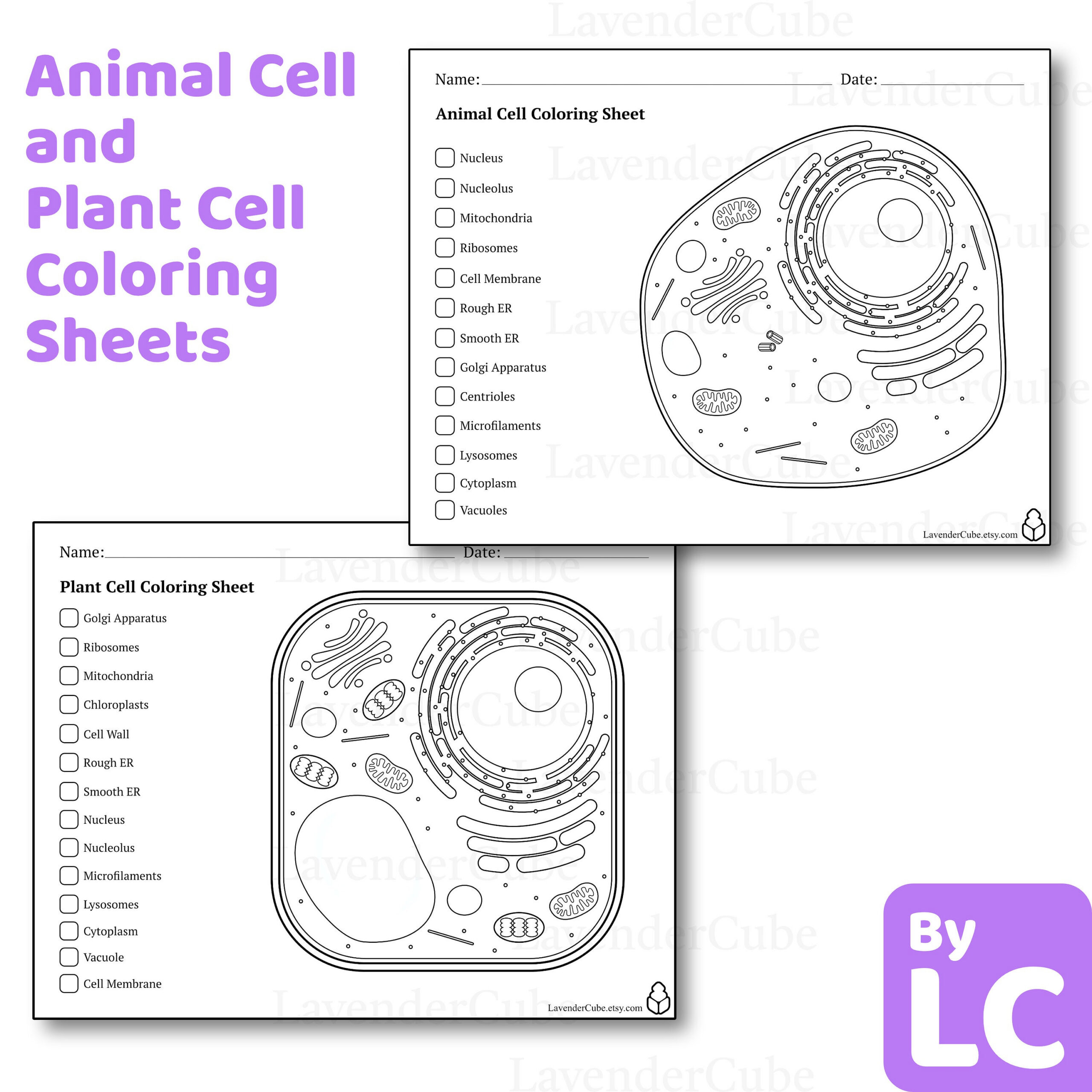 Animal And Plant Cell Coloring Worksheets - Digital Download - 300 within Animal and Plant Cell Diagram Printable