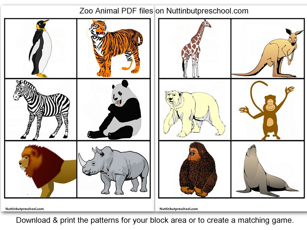 Animal Matching Game - 8 Free Pdf Printables | Printablee throughout Printable Pictures of Zoo Animals