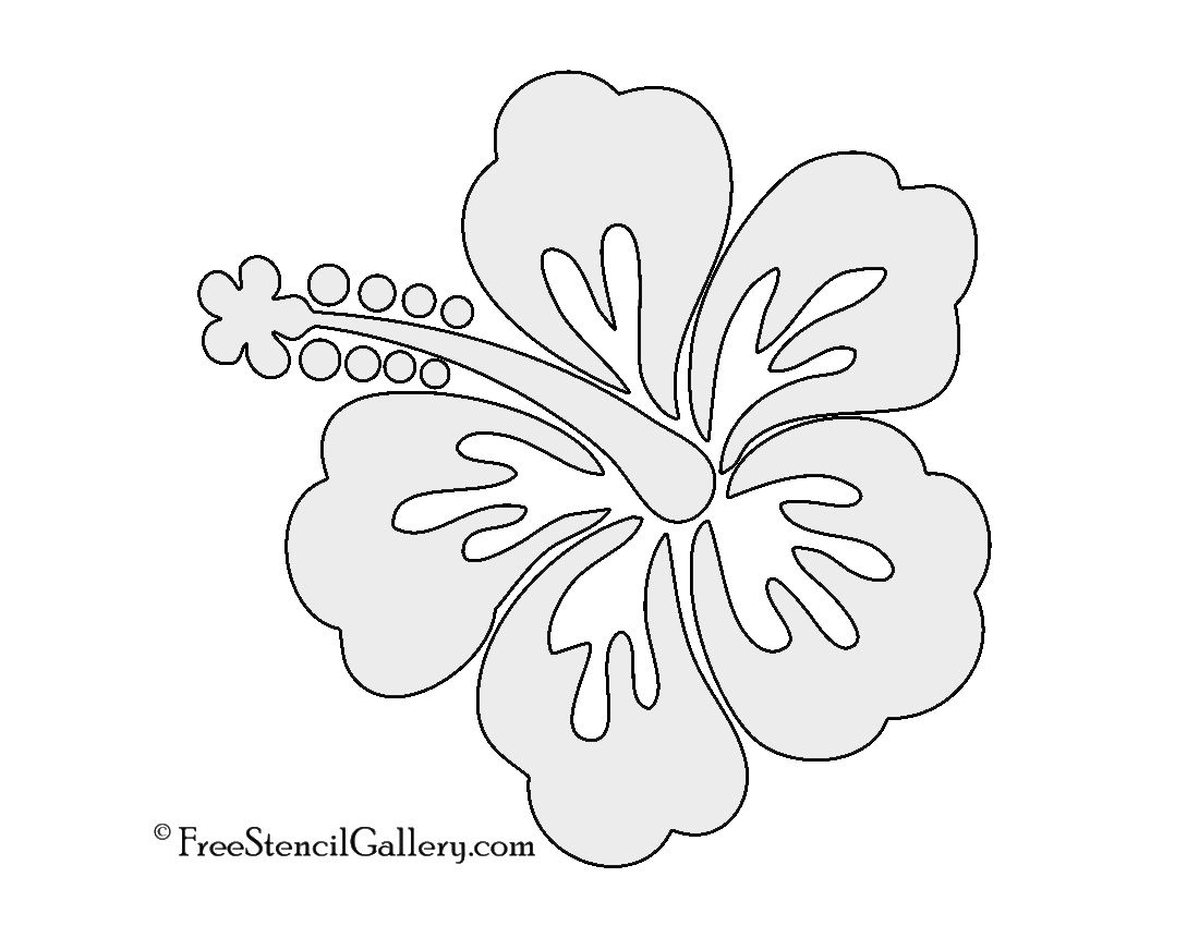 Hibiscus Flower Stencil - Worksheets Library with Free Printable Hibiscus Flower Template
