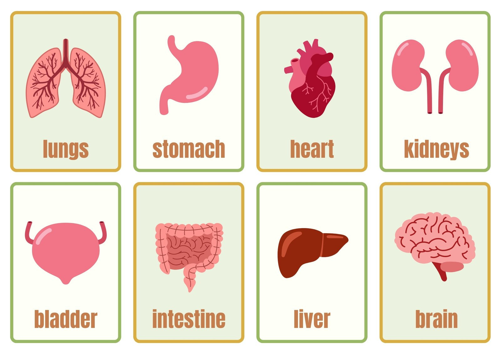 Page 12 - Free Printable Flashcard Templates You Can Customize | Canva intended for Printable Organs And Emotions Chart