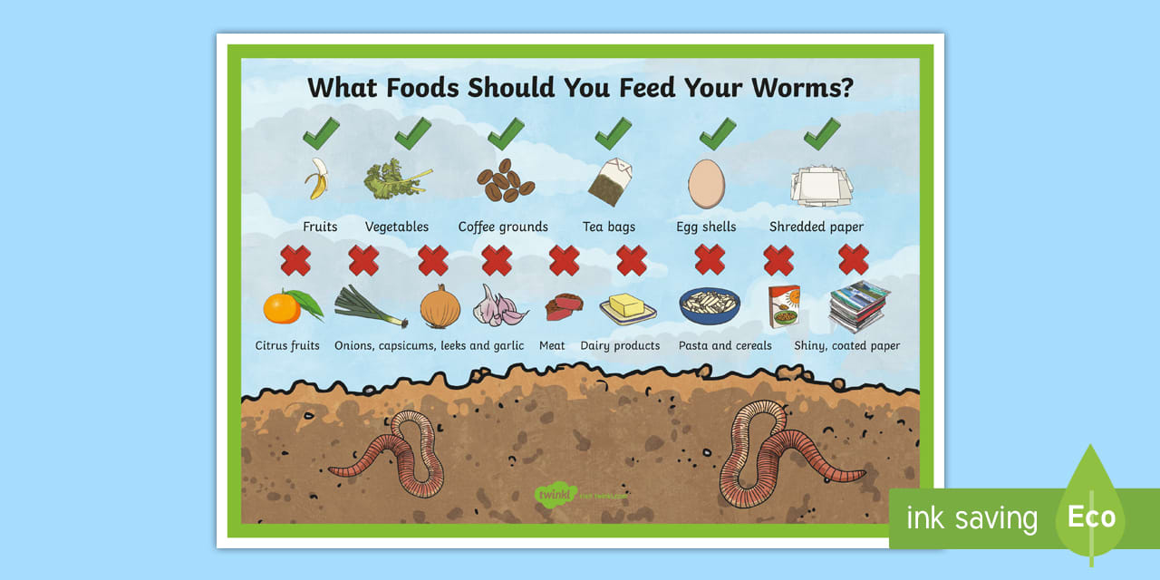 What To Feed Worms In A Worm Farm | Worm Food Poster pertaining to Printable Worm Farm Food Chart