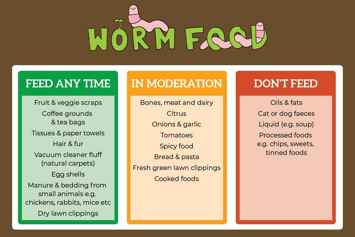 Worm Farming : Kat'S Garden within Printable Worm Farm Food Chart